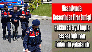 Cezaevi firarisi yakalandı