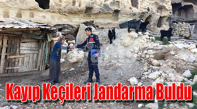 Karaman'da kayıp küçükbaş hayvanları jandarma buldu