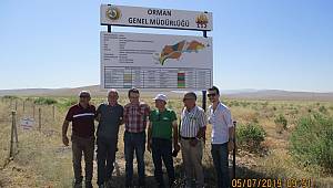 Karaman'da ağaçlandırma çalışmaları