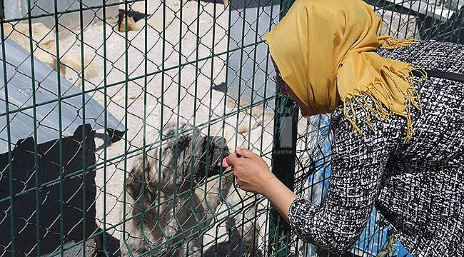 Karaman'da hayvanseverlerden barınağa ziyaret