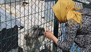 Karaman'da hayvanseverlerden barınağa ziyaret