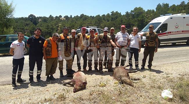 Karaman&#039;da yaban domuzu sürek avı düzenlendi