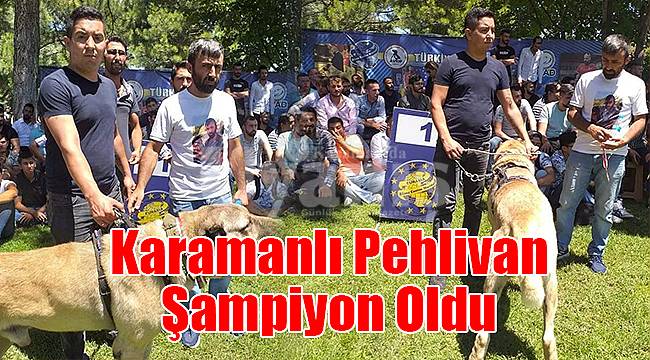 Karamanlı Pehlivan Şampiyon Oldu