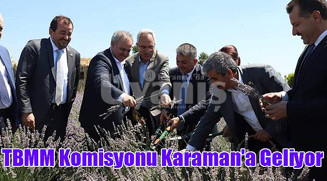 TBMM Komisyonu Karaman'a geliyor
