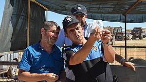 Polisten kurban satıcılarına sahte para uyarısı