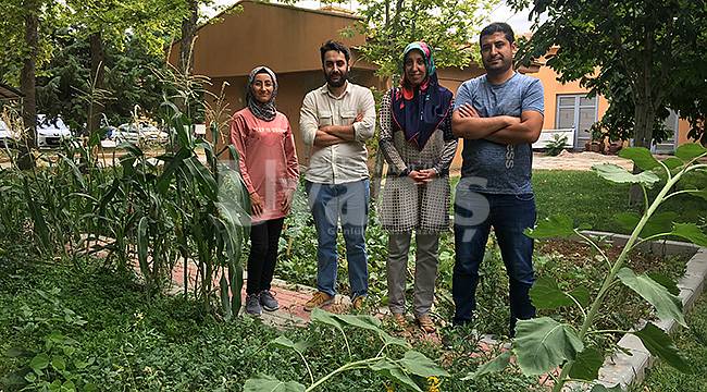 TRSM Danışanları Ektikleri Sebzeleri Toplamaya Başladı