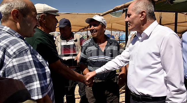 Vali Meral, Kurban Pazarında incelemelerde bulundu