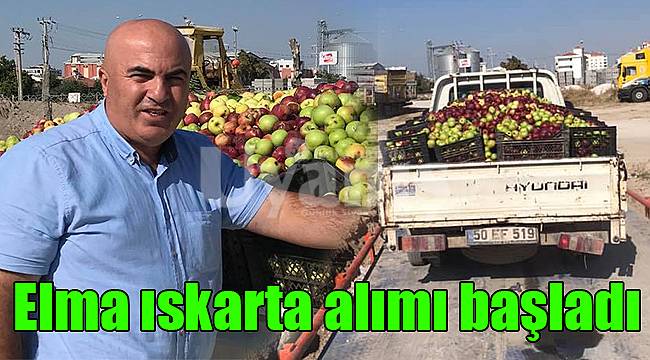 Elma ıskarta alımı başladı