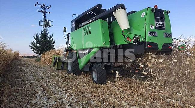 Karaman'da mısır hasadı başladı
