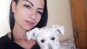 Kayıp köpek Ece, Her yerde aranıyor
