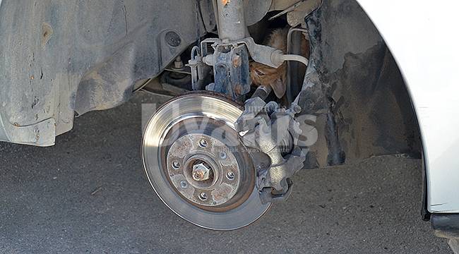 Araç motoruna sıkışan yavru kedi kurtarıldı