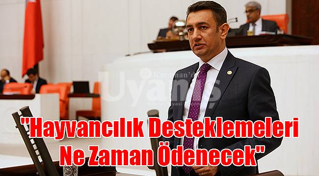 "Hayvancılık desteklemeleri ne zaman ödenecek"