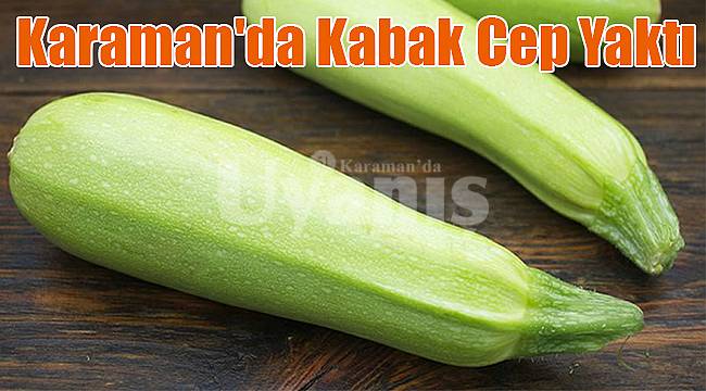 Karaman'da kabak cep yaktı