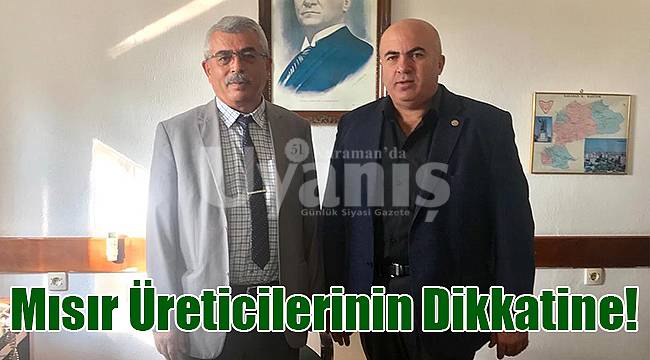Mısır Üreticilerinin Dikkatine!