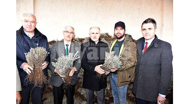 Lavanta Fidesi Dağıtımı Gerçekleşti