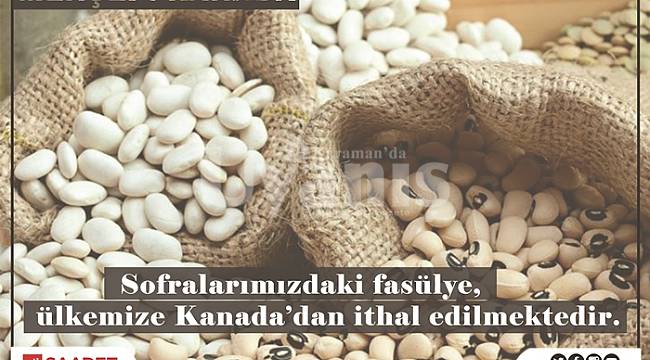 Onca Bereketli Toprağa Rağmen Neden İthal Tohum Neden İthal Ürün?