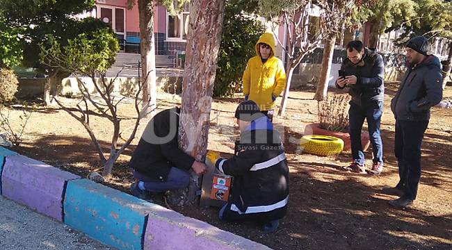 Ermenek Belediyesi Takdir Topladı
