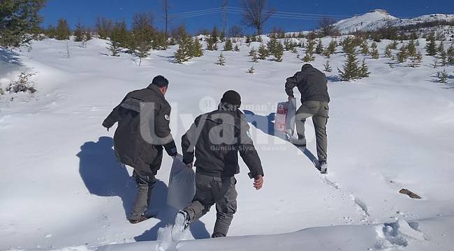 İlçelerde Yemleme Faaliyetleri Devam Ediyor