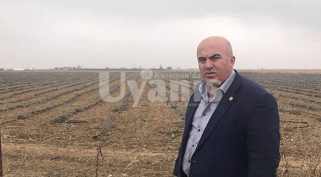 Karaman'da Lavantanın Başkenti Olacak