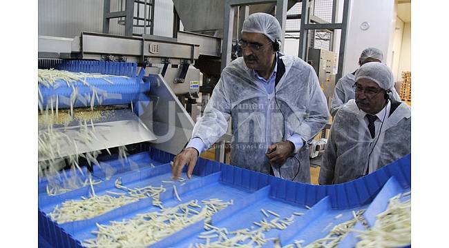 Konya Şeker’den Patates Bedeli Ödemesi
