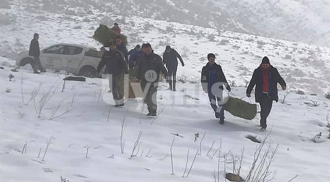 Karaman'da yaban hayvanlarına besin takviyesi