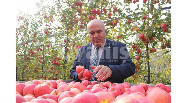 Karaman Ziraat Odası elma budama kursu açıyor