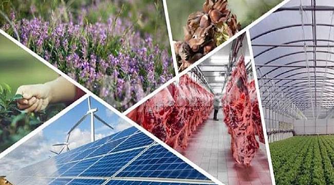 KKYDP 13. etap ekonomik yatırımların sonuçları açıklandı