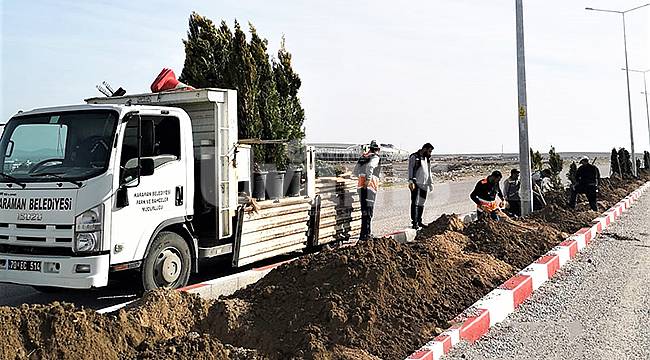 Orta refüjlerde ağaçlandırma çalışması devam ediyor