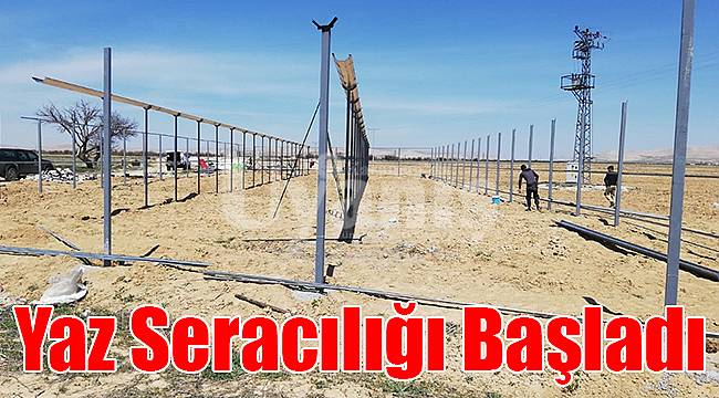 Ayrancı'da yaz seracılığı başladı