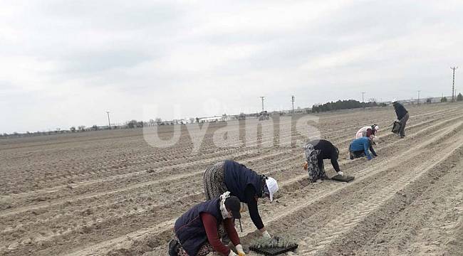 KOP bölgesinde mera ıslahı için önemli bir proje hayata geçirildi