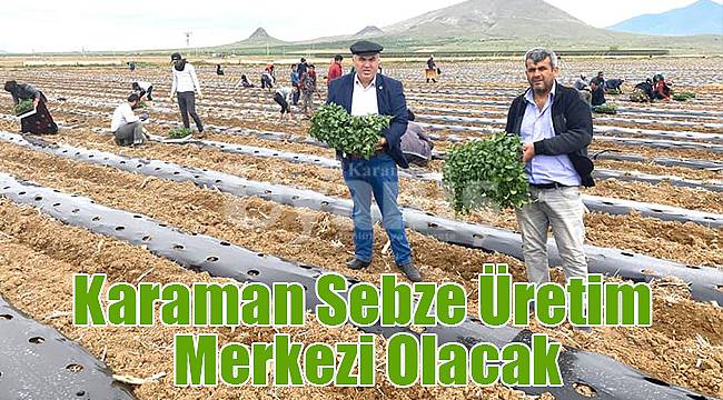 Bayram; "Karaman Sebze Üretim Merkezi Olacak"