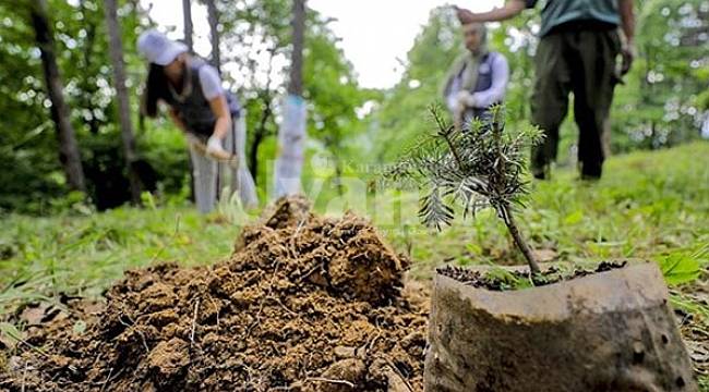 Haydi Karaman, Sağlık Kahramanlarına Sahip Çık, Fidan Sahiplen
