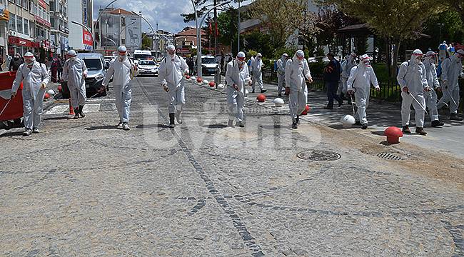 İsmet Paşa Caddesinde İlaçlama Yapıldı