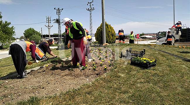 Karaman Belediyesi Mevsimlik Çiçek Ekimine Devam Ediyor