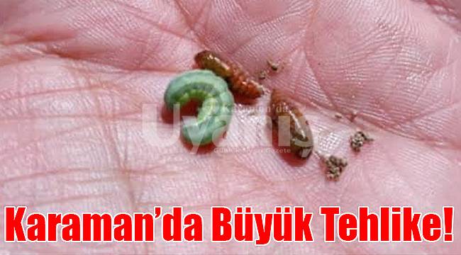 Karaman'da büyük tehlike!