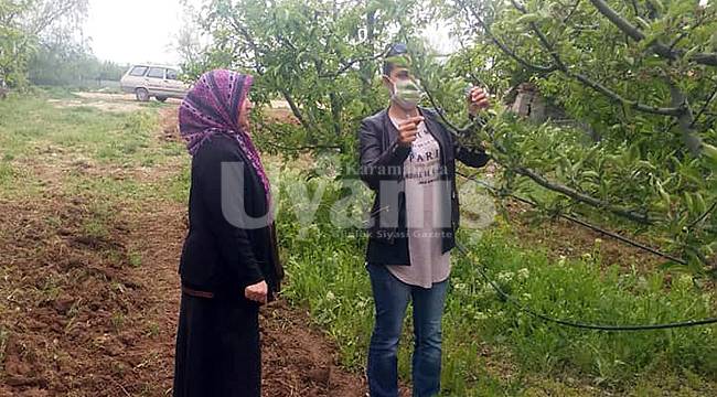 Karaman'da elma bahçeleri için seferberlik başladı
