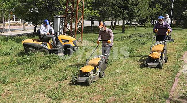 Karaman'da Park ve Yeşil Alanlar Yaza Hazırlanıyor