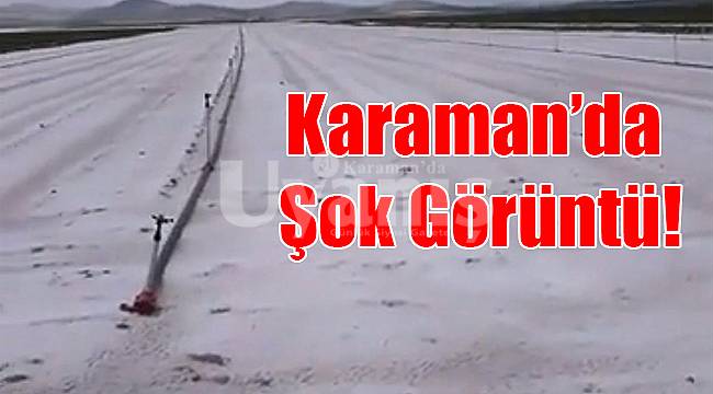 Karaman'da şok görüntü!