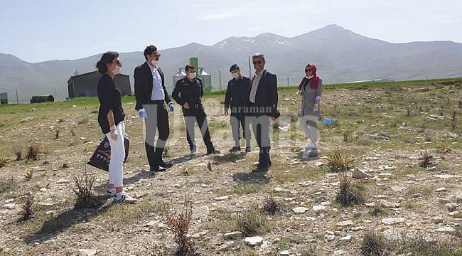 Kaymakam Atak sokak hayvanlarını unutmadı