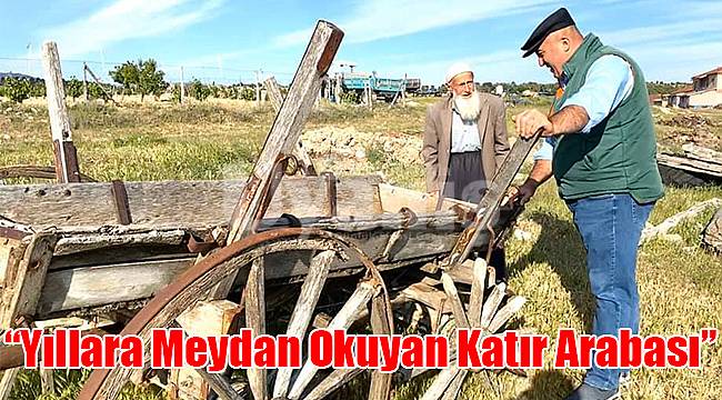 “Yıllara Meydan Okuyan Katır Arabası”