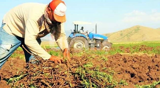 2020 üretim yılı için ÇKS başvuruları için son 9 gün