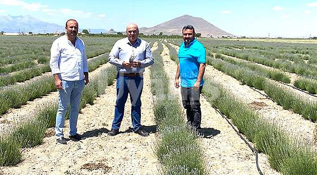 Bayram: "Karaman Lavanta'nın Merkezi Olacak"