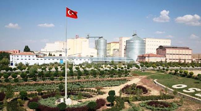 Karaman İhracatı Yüzde 50 Düştü