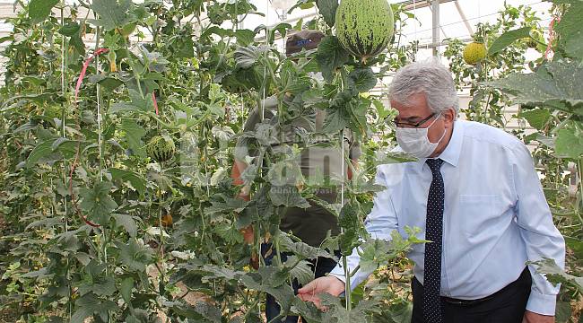 Konya Gıda Ve Tarım Üniversitesi’nden Tohumda Dev Atılım