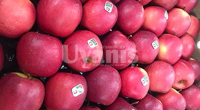 Bayram, "Elmanıza Verilen Yüksek Fiyata Asla Kanmayın"