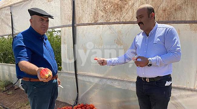 Bayram: "Üreticilerimizi Sorunlarına Çözüm Amaçlı Ziyaretlere Devam Ediyoruz"