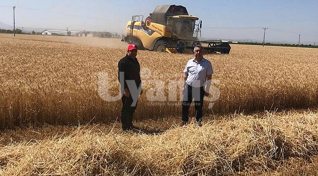 İl Tarım ve Orman Müdürü Şahinbaş buğday hasadına katıldı