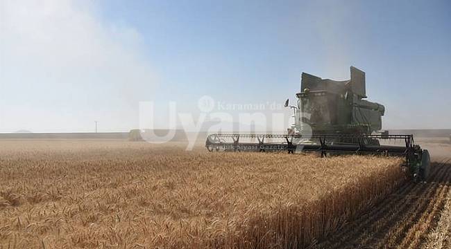 Karaman'da hububatta 206 bin ton rekolte bekleniyor