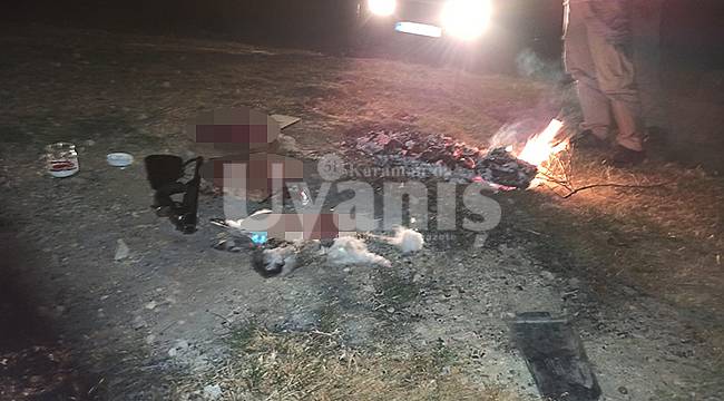 Karaman'da kaçak av yapanlara ceza yağdı