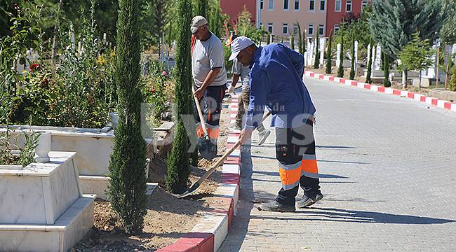 Şehir mezarlığına 500 adet kara selvi ağacı dikildi